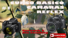 CURSO BASICO DE FOTOGRAFIA CON CAMARAS REFLEX