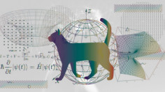 Very Basics of Quantum Physics