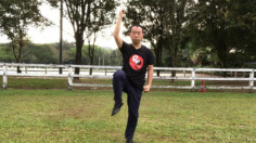 Tai Chi for Balance and Preventing Falls